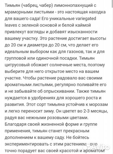 Тимьян вариегатный