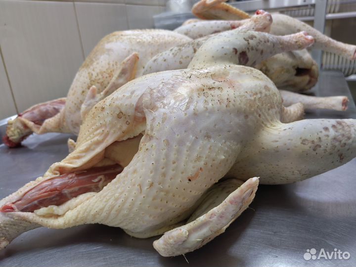 Индейка, домашнее мясо