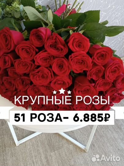Розы крупные 15;25;51;101 шт