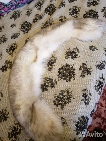 Меховой воротник. Песец