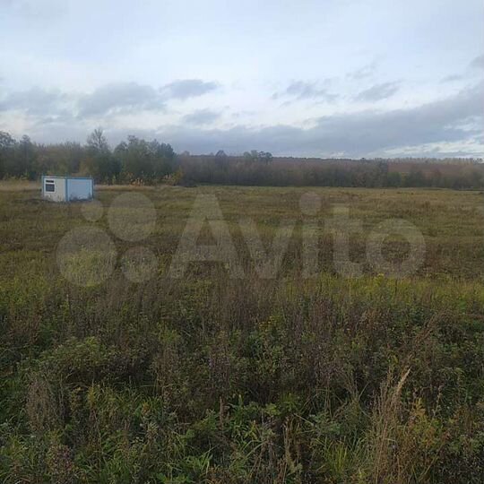 Участок 100 сот. (ИЖС)