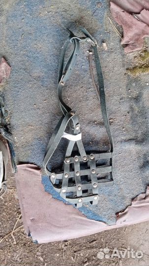 Собачий намордник