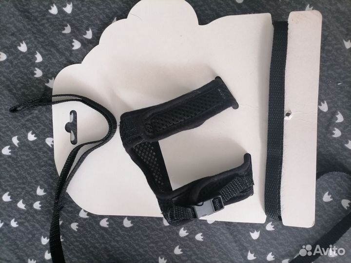 Шлейка и поводок для котят