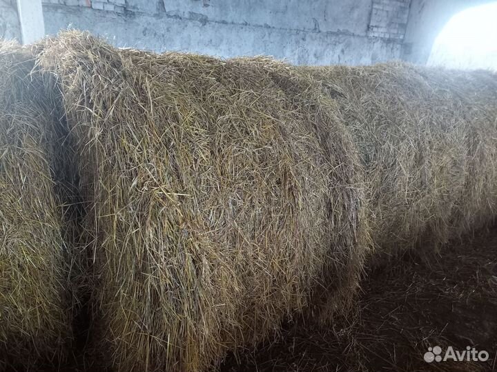 Солома ячменная в рулонах