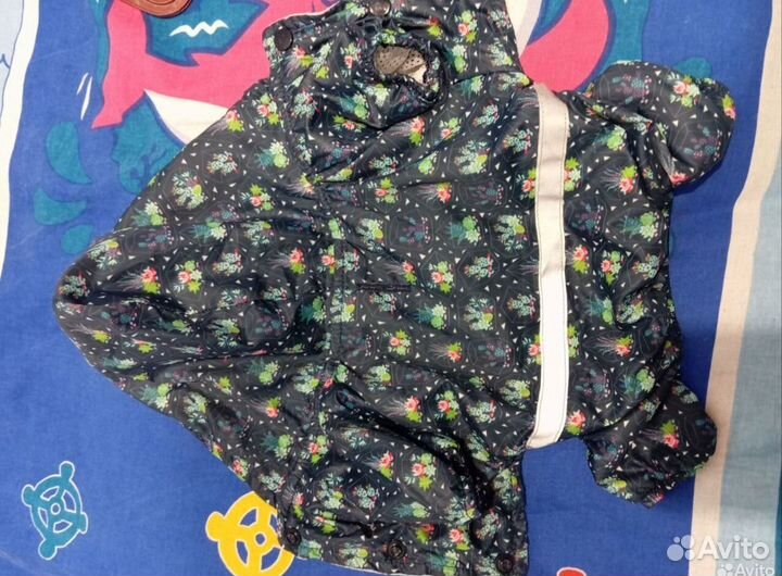 Дождевик для маленьких собак