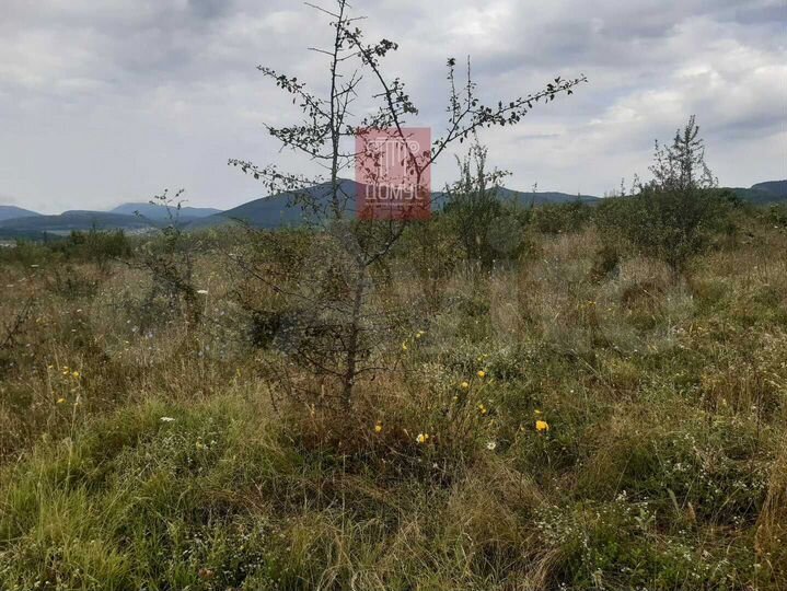 Участок 7,27 га (СНТ, ДНП)