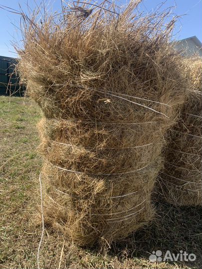 Сено в тюках