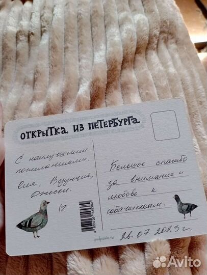 Передержка в загородном доме с доставкой