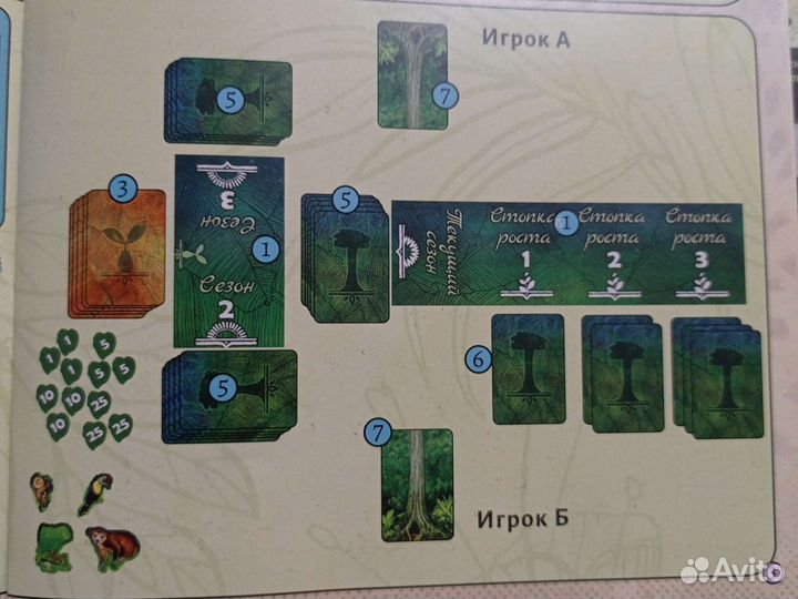 Настольная игра Амазония