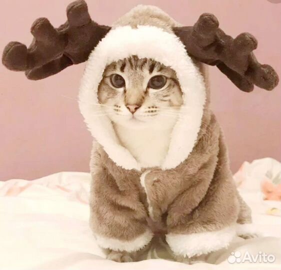 Меховой жилет для маленькой собаки или кошки