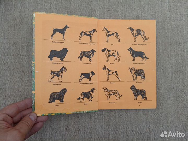 М.Г. Псалмов. Книга собаковода. 1990 год