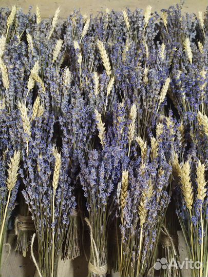 Супер букеты лаванды(сухоцвет 2023)