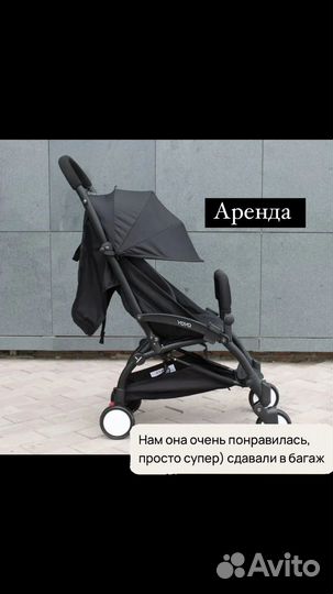 Коляска трость прогулочная yoyo 175 прокат