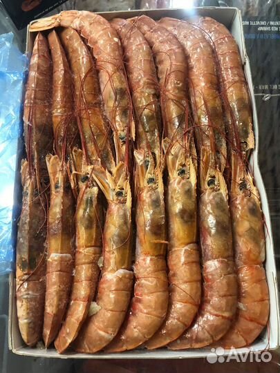 Креветка северная 70/90, 1кг. Лангустины L2