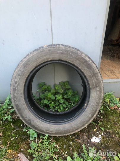 Nexen N'Fera SU4 185/65 R15