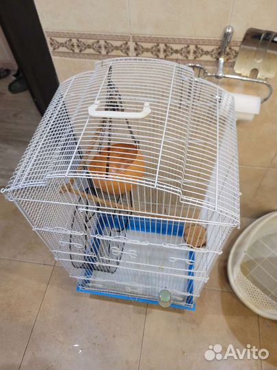 Клетка очень большая