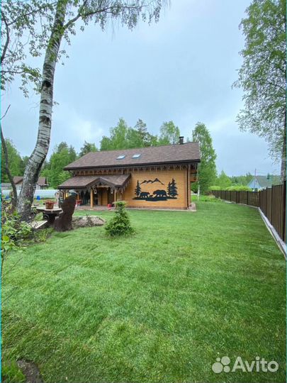 Рулонный газон