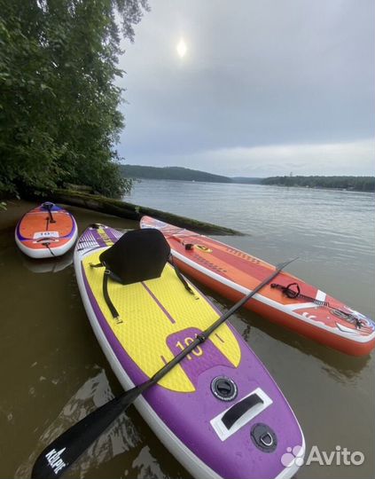 Аренда SAP board сап бордов