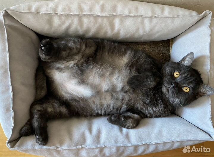 Лежанка для собак и кошек