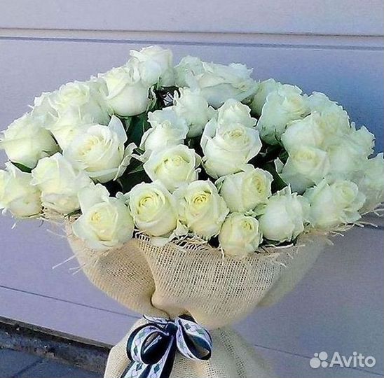 Высокие розы Гигантские розы Доставка цветов