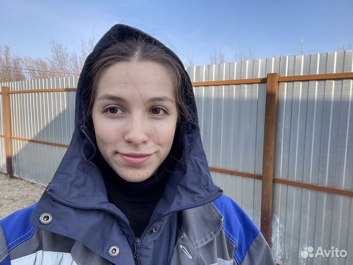 Выгул собак Новые Черемушки