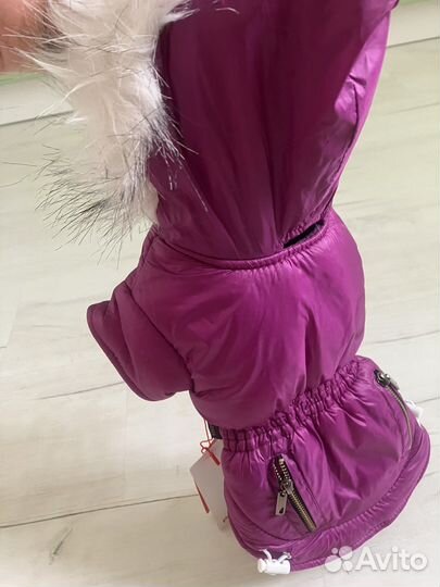 Куртка для маленькой собачки