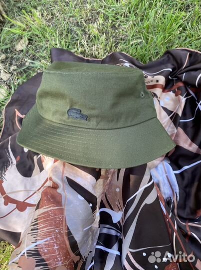 Панама lacoste