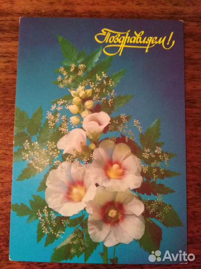 Открытка СССР