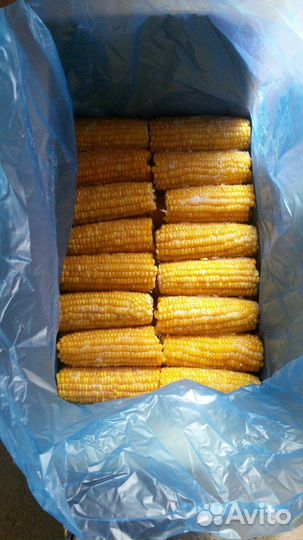 Аппарат тележка для продажи вареной кукурузы