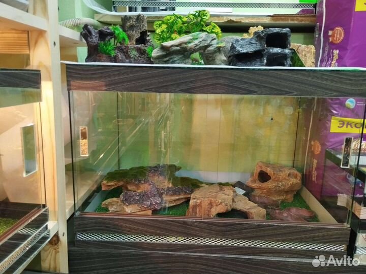 Террариум для рептилий разнообразные