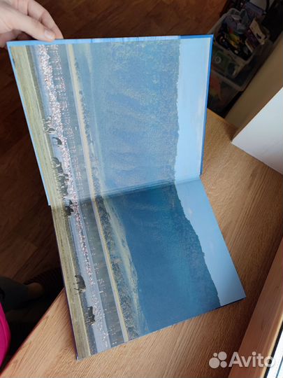 Книга в подарок