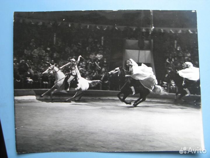 Фотографии цирк