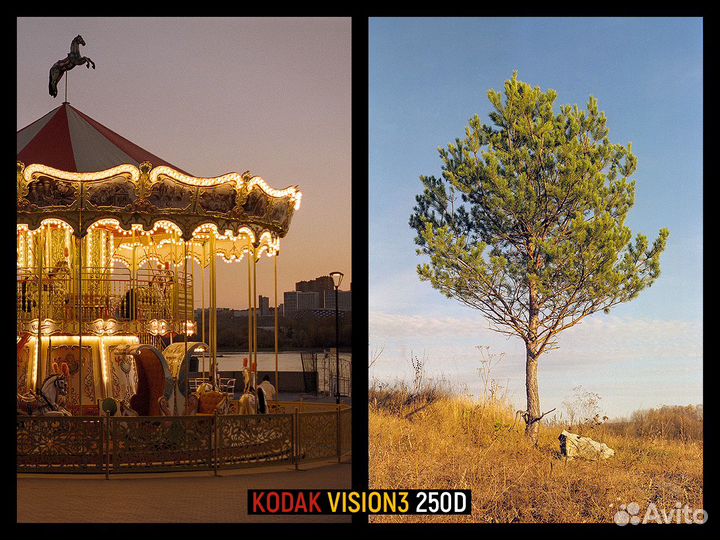 Фотоплёнка Kodak / Fomapan / Agfa