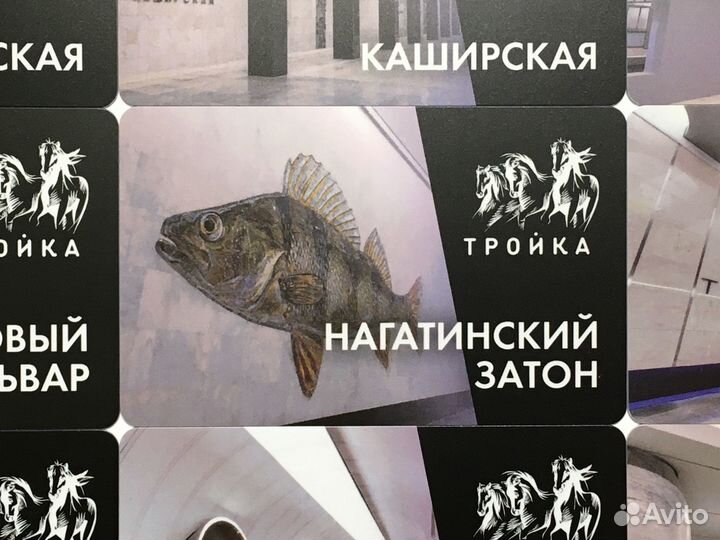 Новые станции метро бкл карта Тройка