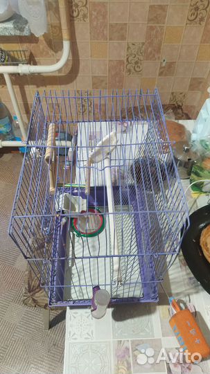 Клетка для волнистого попугая
