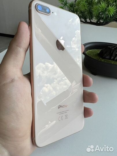 iPhone 8 Plus 128