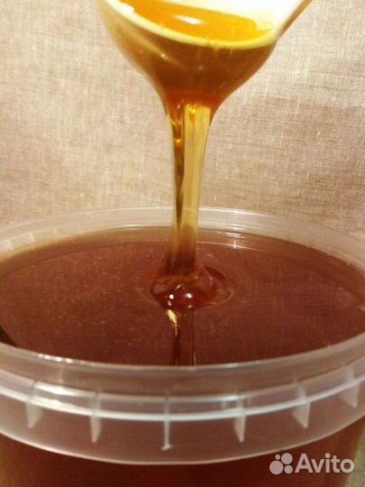 Мёд черноклен