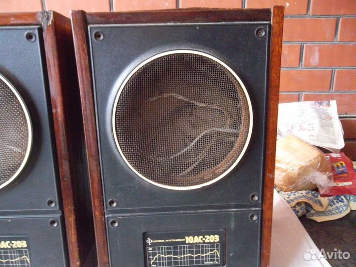Колонки 10 ас 203