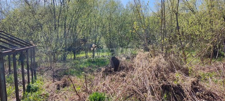 Участок 10,5 сот. (СНТ, ДНП)