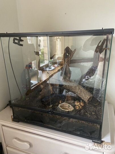 Террариум для рептилий бу