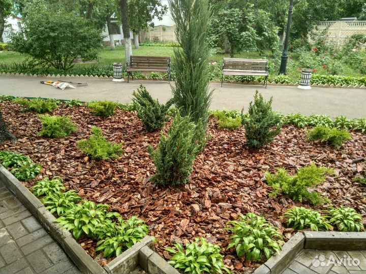 Кора, мульча лиственницы и сосны фракция 10-25 мм