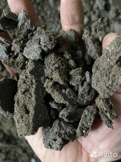 Жмых подсолнечный