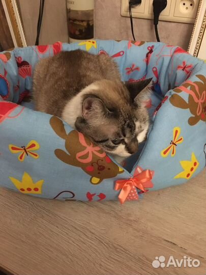 Лежанка для кошек или собак