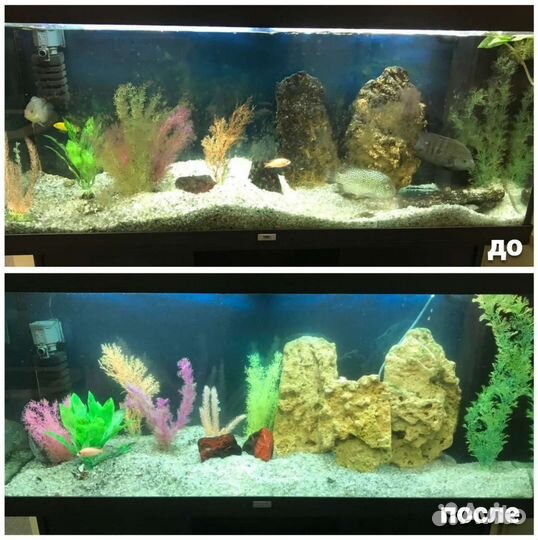 Чистка аквариума. Срочный выезд