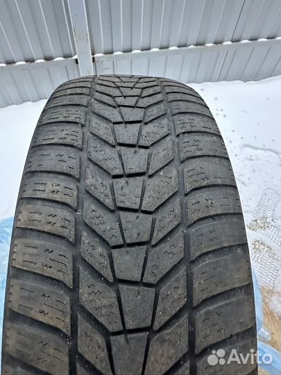 Hankook Winter I'Cept Evo 225/55 R19 99