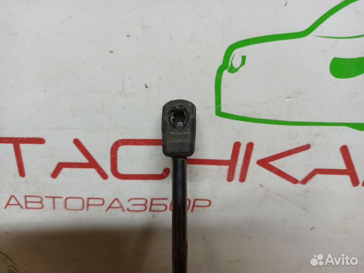 Амортизатор капота VW Tiguan 2 (2016+)