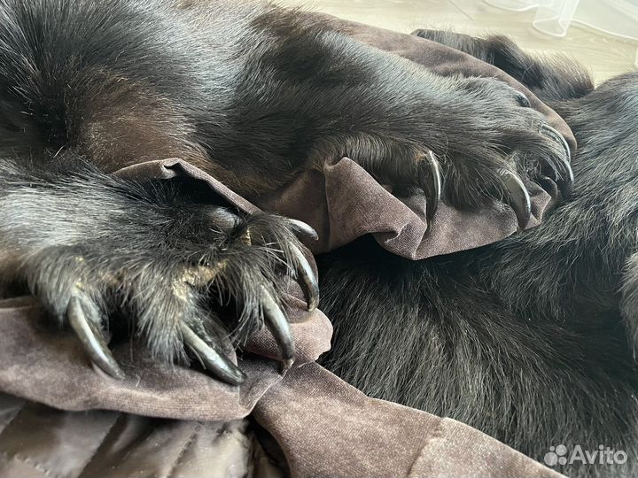 Ковер шкура медведя (иммитация)