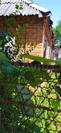 Дача 48 м² на участке 8 сот.