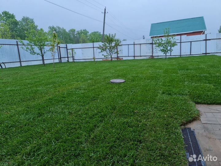 Газон рулонный Green Plus