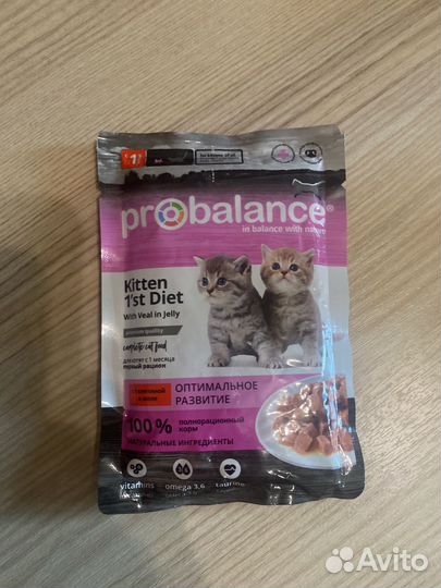 Влажный корм для котят probalance